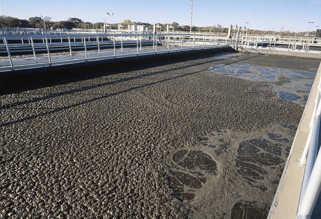 （圖：生化水處理泡沫場景）