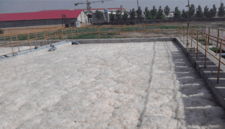 （圖：污水廠泡沫池現(xiàn)場）