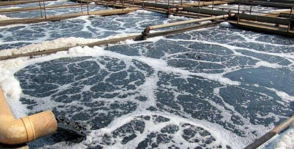 （圖：市政直排污水起泡現場）